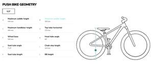 Beany Zero 12 frame geometry information.