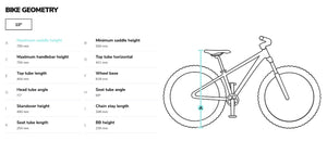 Beany Zero 20 frame geometry information.